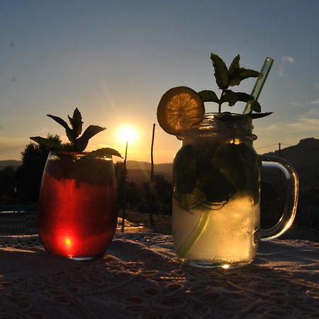 Pasare Glamping_Anglonaruralexperience Ξενοδοχείο Perfugas Εξωτερικό φωτογραφία