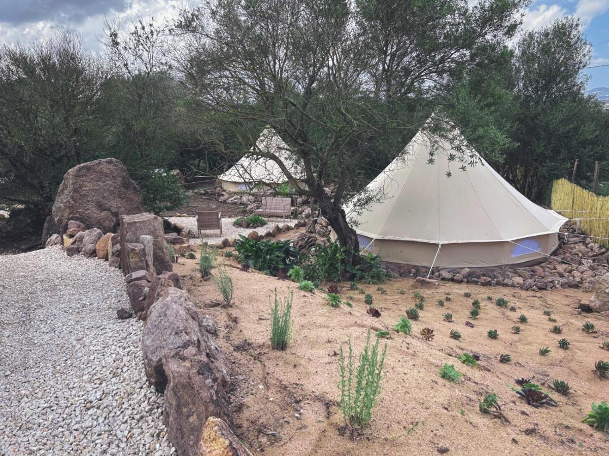 Pasare Glamping_Anglonaruralexperience Ξενοδοχείο Perfugas Εξωτερικό φωτογραφία