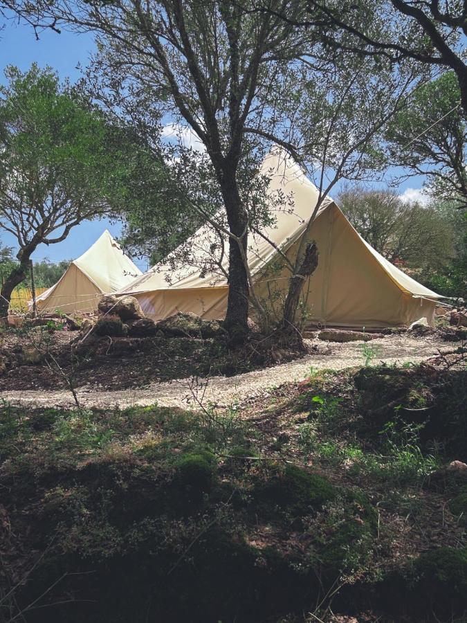 Pasare Glamping_Anglonaruralexperience Ξενοδοχείο Perfugas Εξωτερικό φωτογραφία