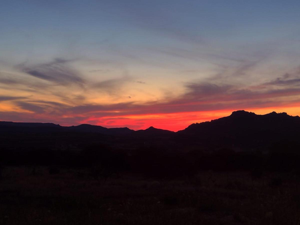 Pasare Glamping_Anglonaruralexperience Ξενοδοχείο Perfugas Εξωτερικό φωτογραφία
