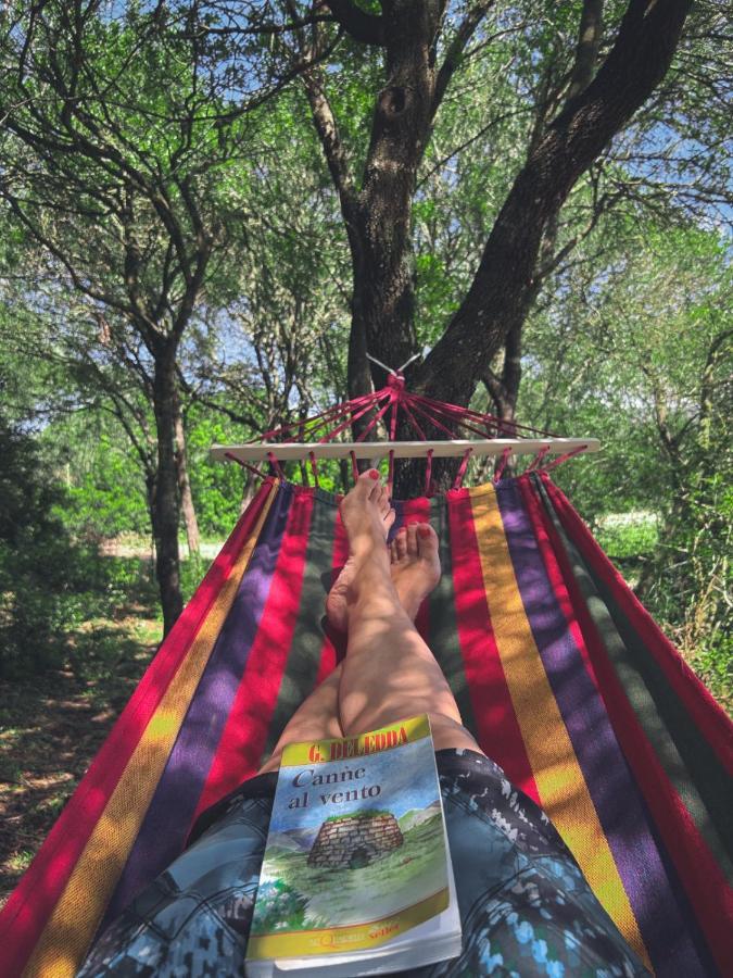 Pasare Glamping_Anglonaruralexperience Ξενοδοχείο Perfugas Εξωτερικό φωτογραφία