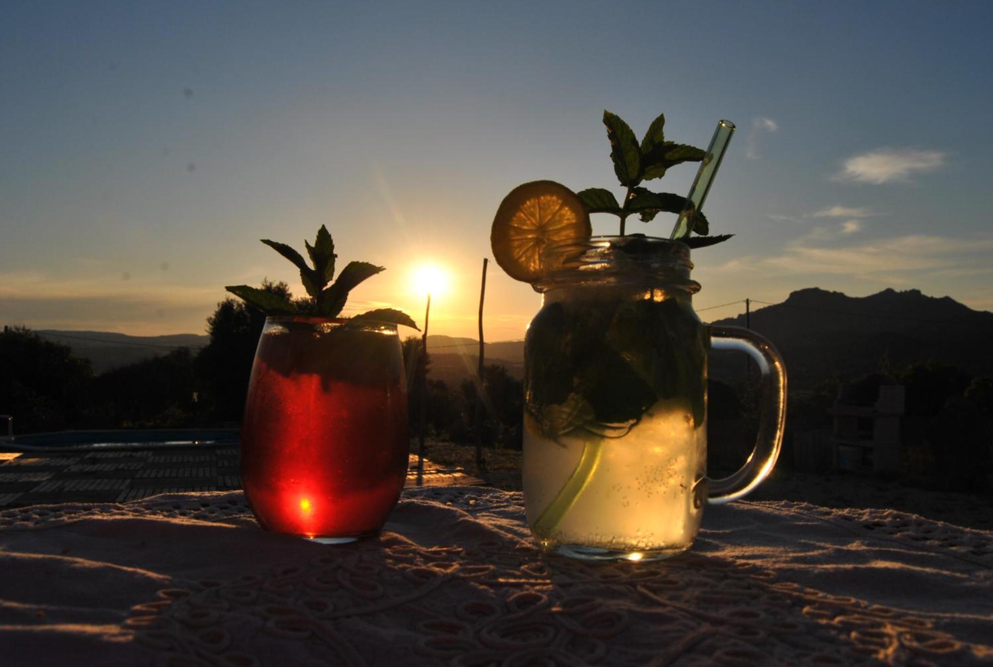 Pasare Glamping_Anglonaruralexperience Ξενοδοχείο Perfugas Εξωτερικό φωτογραφία