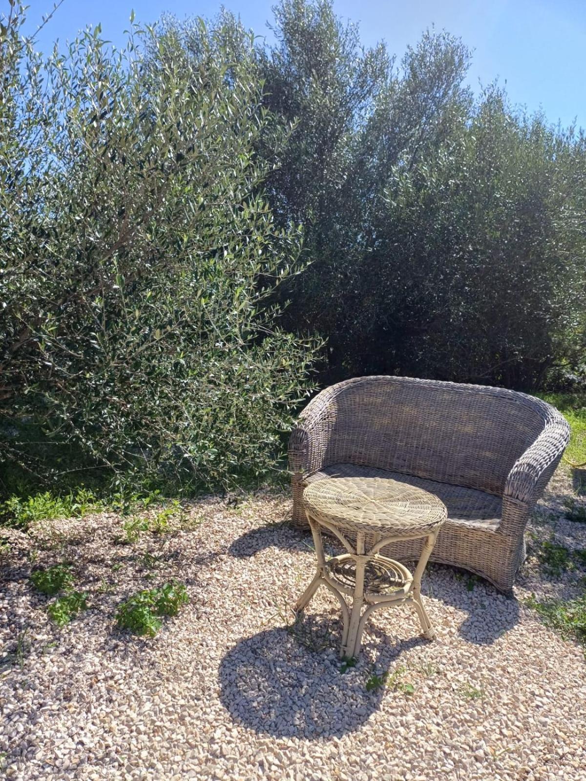 Pasare Glamping_Anglonaruralexperience Ξενοδοχείο Perfugas Εξωτερικό φωτογραφία